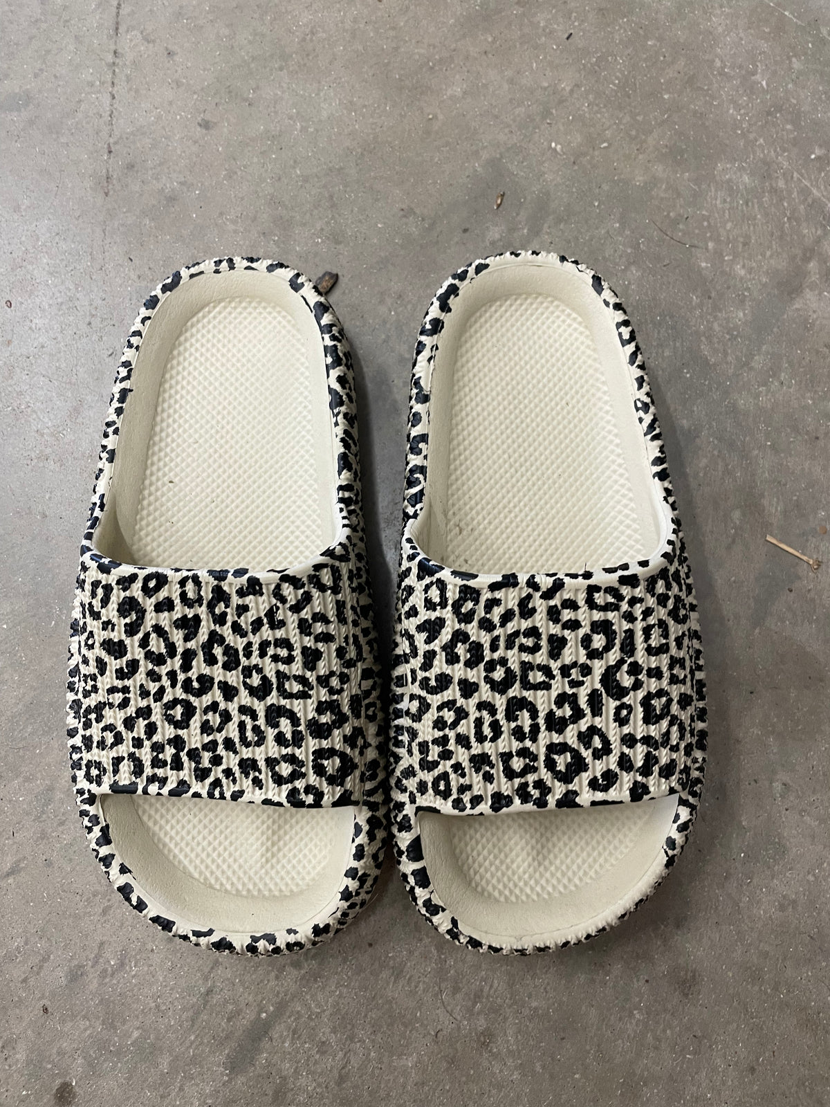 Cheetah slides